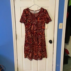 NWT 2XL LuLaRoe Amelia in fall toned floral